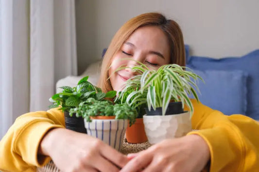 The-1-Reason-Why-Plants-are-Essential-for-Your-Well-Being HouseplantExperience.com