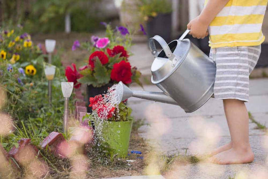 Water Your Plants Wisely HouseplantExperience.com
