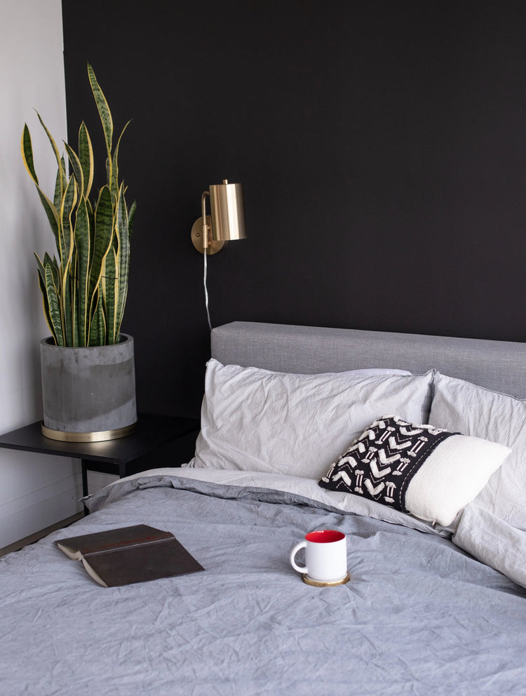 * Bedroom Plants HouseplantExperience.com