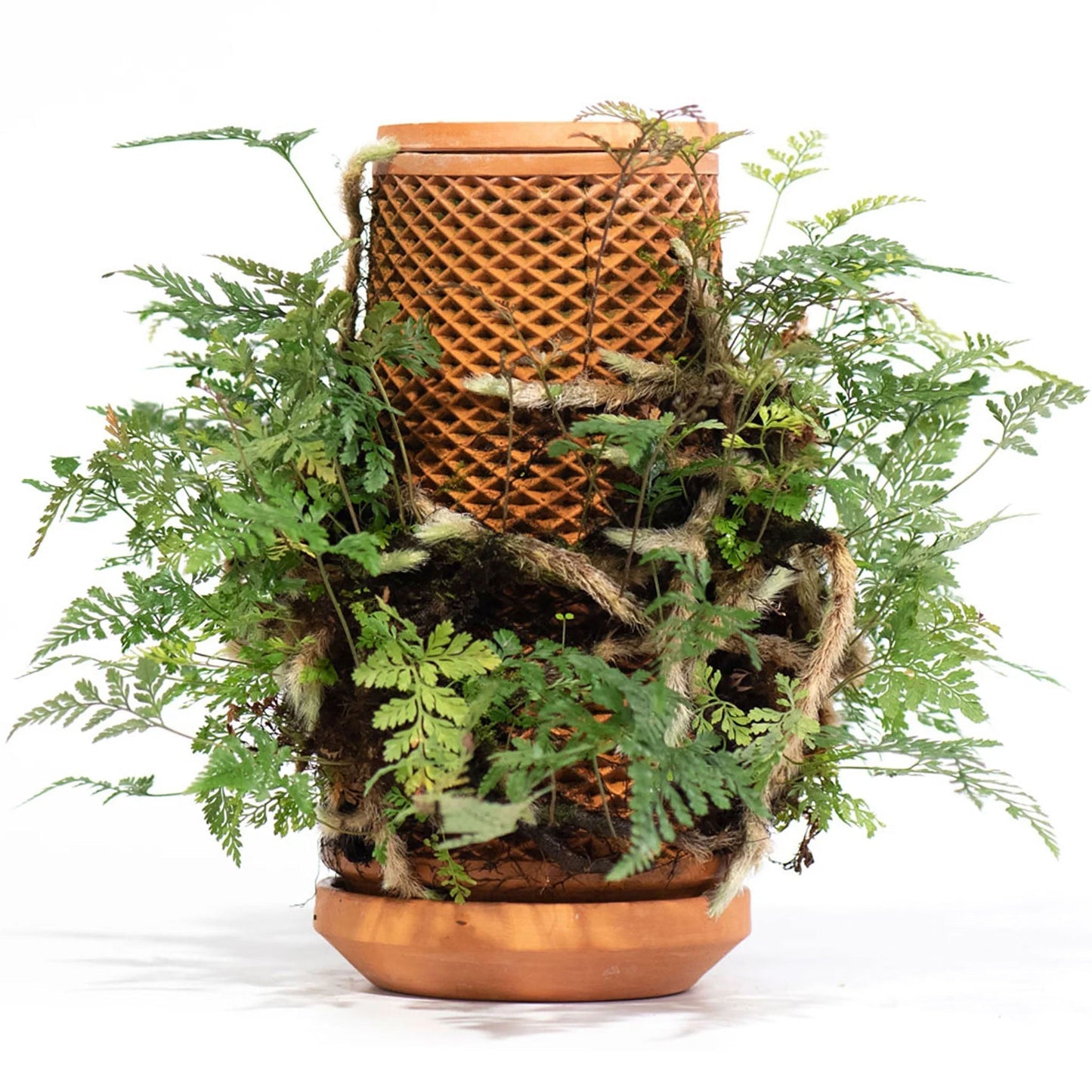 Tevaplanter: Self Watering Planter