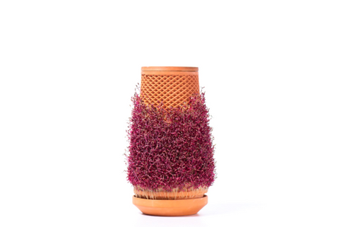 Tevaplanter: Self Watering Planter