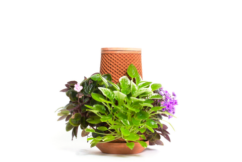 Tevaplanter: Self Watering Planter