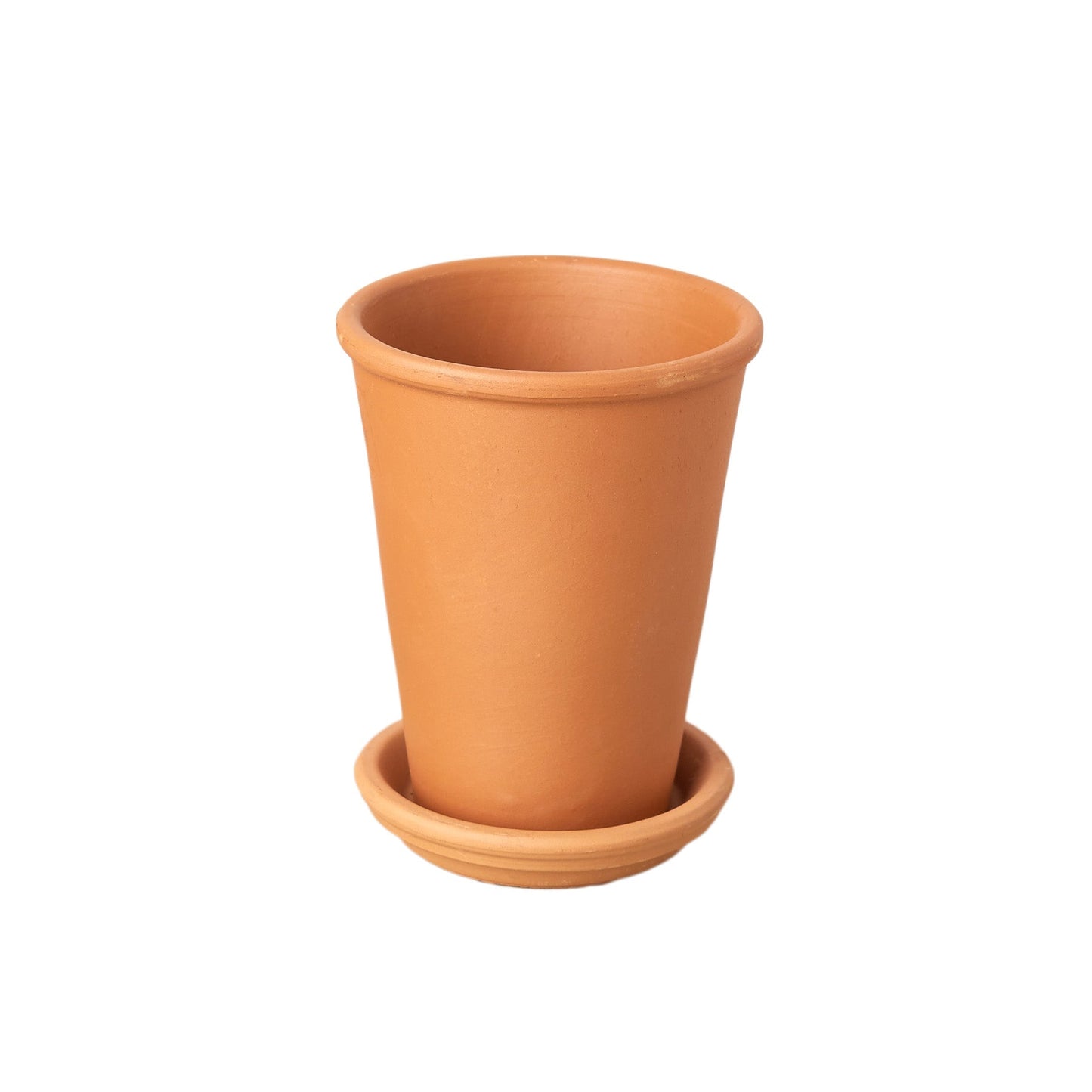 Starter Pack - New Plant Parent Bundle