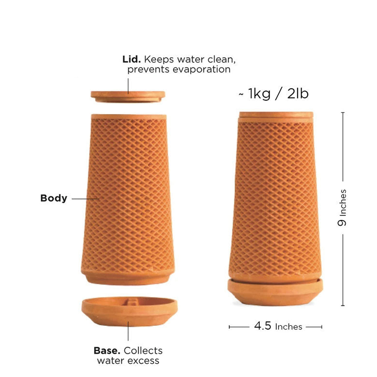 Tevaplanter: Self Watering Planter