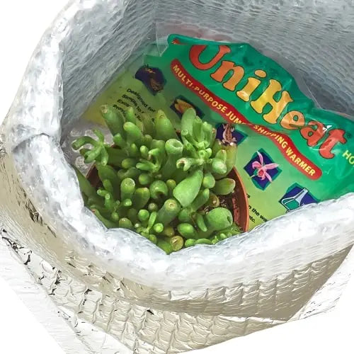 Winter Plant Shipping Protection Winter Plant Shipping Protection HouseplantExperience.com