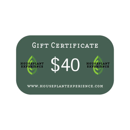 $40.00 Gift Certificate HouseplantExperience.com