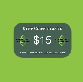 Houseplant Experience Gift Certificate