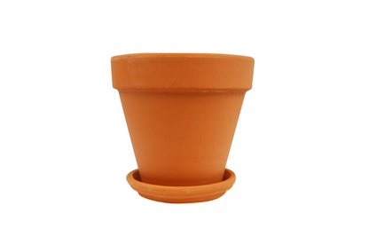 Terra Cotta Planters HouseplantExperience.com